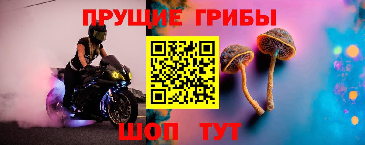 Галлюциногенные грибы прущие грибы Барабинск