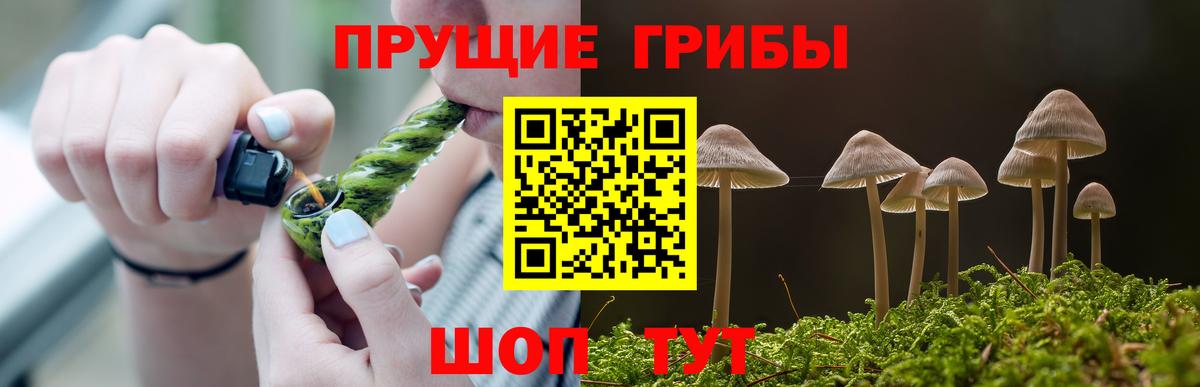 Барабинск  хочу наркоту  Вход с VPN  Псилоцибиновые грибы Psilocybine cubensis  Псилоцибиновые грибы ЛСД 